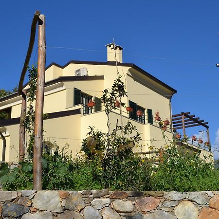 Joie De Vivre Bed and Breakfast Calice Ligure Buitenkant foto