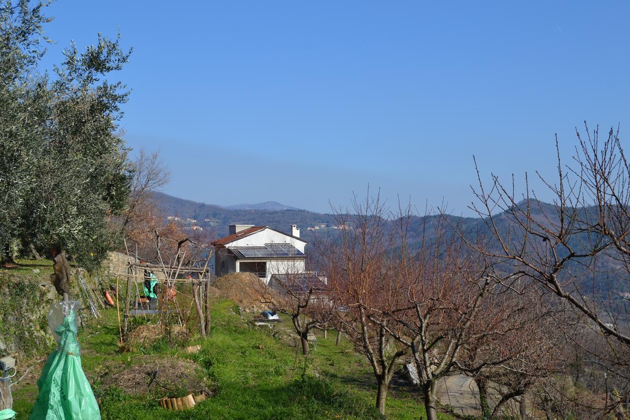 Joie De Vivre Bed and Breakfast Calice Ligure Buitenkant foto