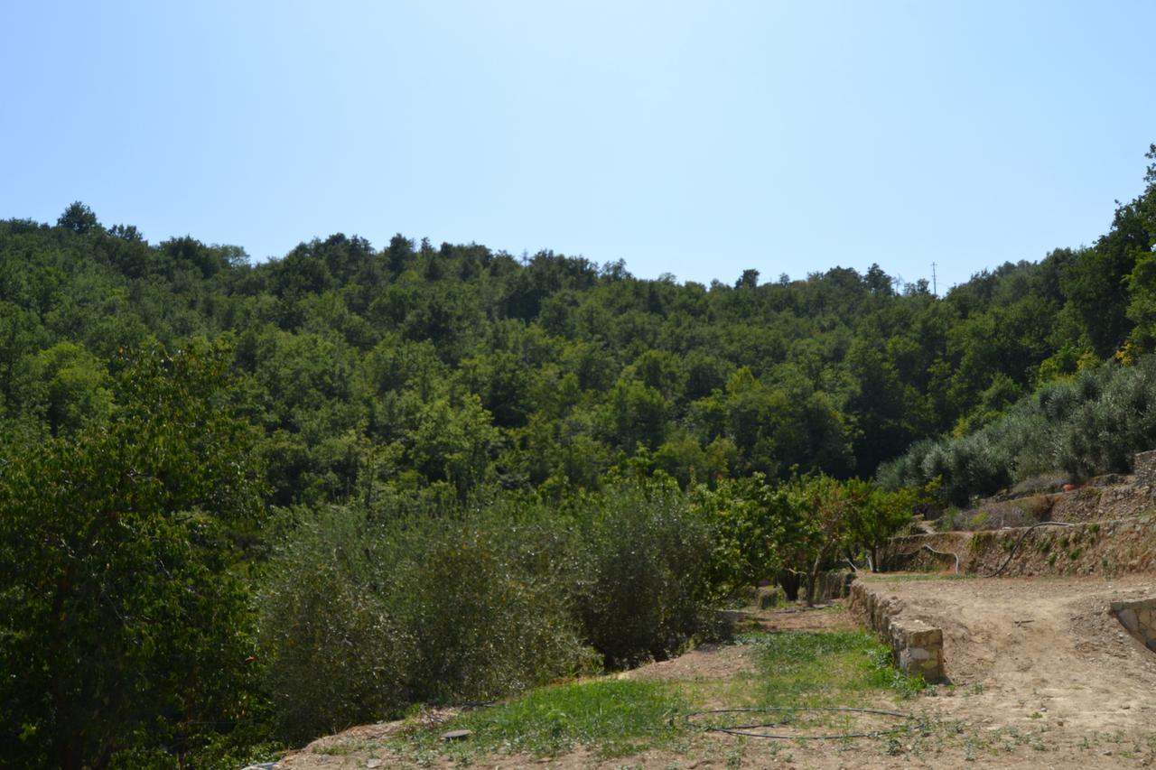 Joie De Vivre Bed and Breakfast Calice Ligure Buitenkant foto